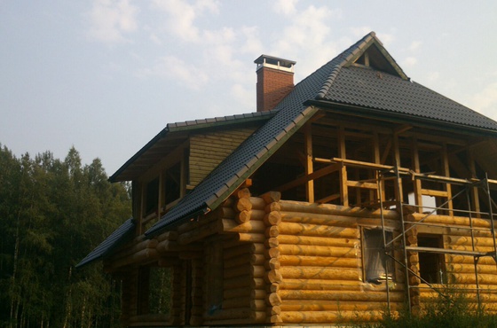 Timber house 